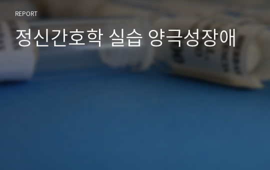 정신간호학 실습 양극성장애