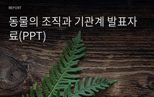 동물의 조직과 기관계 발표자료(PPT)