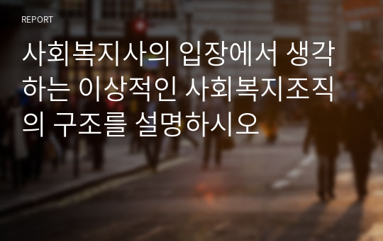 사회복지사의 입장에서 생각하는 이상적인 사회복지조직의 구조를 설명하시오