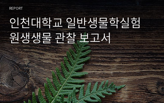 인천대학교 일반생물학실험 원생생물 관찰 보고서