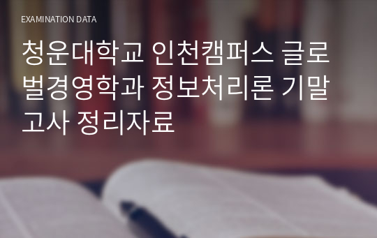 청운대학교 인천캠퍼스 글로벌경영학과 정보처리론 기말고사 정리자료