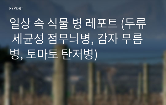 일상 속 식물 병 레포트 (두류 세균성 점무늬병, 감자 무름병, 토마토 탄저병)