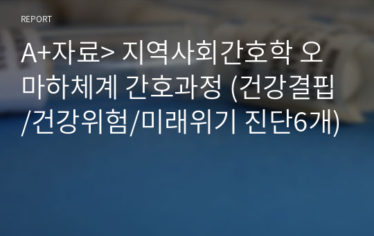 A+자료&gt; 지역사회간호학 오마하체계 간호과정 (건강결핍/건강위험/미래위기 진단6개)