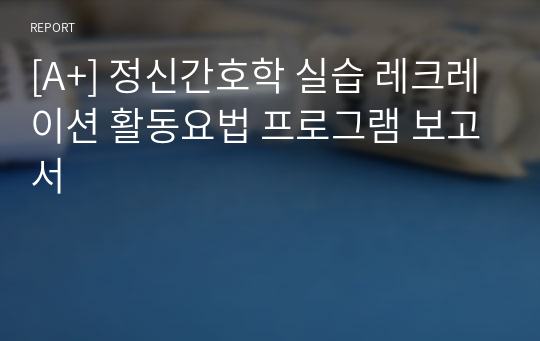 [A+] 정신간호학 실습 레크레이션 활동요법 프로그램 보고서