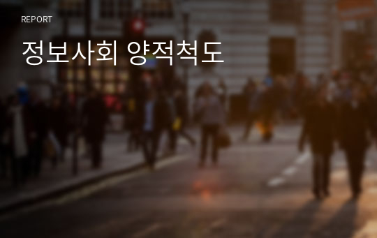 정보사회 양적척도