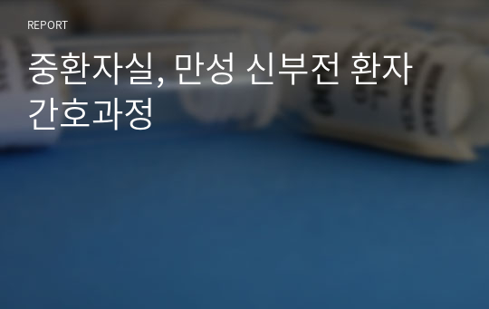 중환자실, 만성 신부전 환자 간호과정