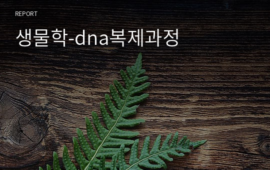 생물학-dna복제과정