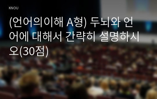 (언어의이해 A형) 두뇌와 언어에 대해서 간략히 설명하시오(30점)