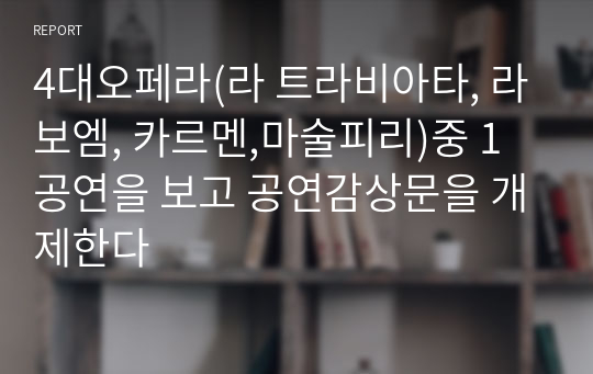 4대오페라(라 트라비아타, 라보엠, 카르멘,마술피리)중 1공연을 보고 공연감상문을 개제한다