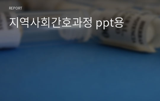 지역사회간호과정 ppt용