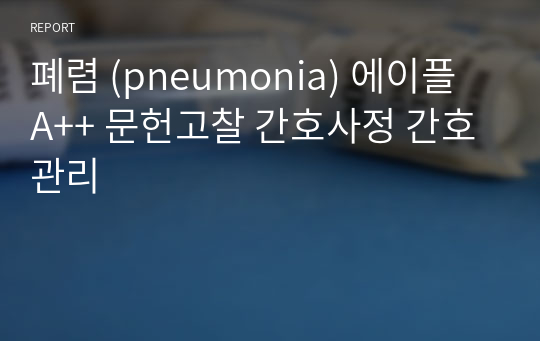 A++ 폐렴 (pneumonia)  문헌고찰 간호과정