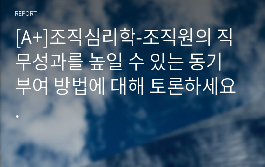 [A+]조직심리학-조직원의 직무성과를 높일 수 있는 동기부여 방법에 대해 토론하세요.