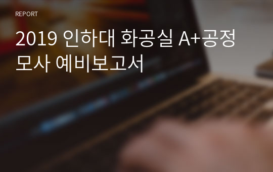 2019 인하대 화공실 A+공정모사 예비보고서
