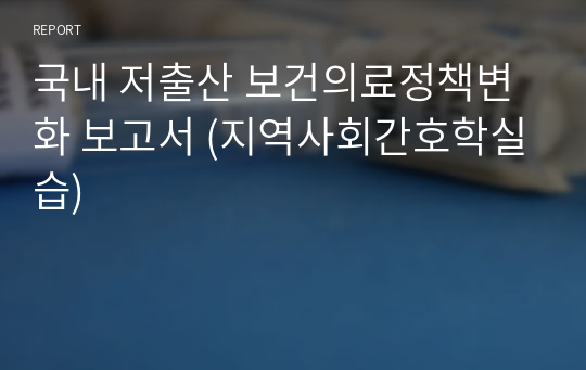 국내 저출산 보건의료정책변화 보고서 (지역사회간호학실습)