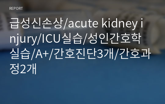 급성신손상/acute kidney injury/ICU실습/성인간호학실습/A+/간호진단3개/간호과정2개
