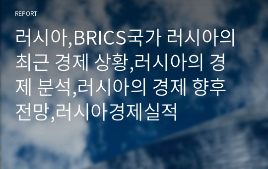 러시아,BRICS국가 러시아의 최근 경제 상황,러시아의 경제 분석,러시아의 경제 향후 전망,러시아경제실적