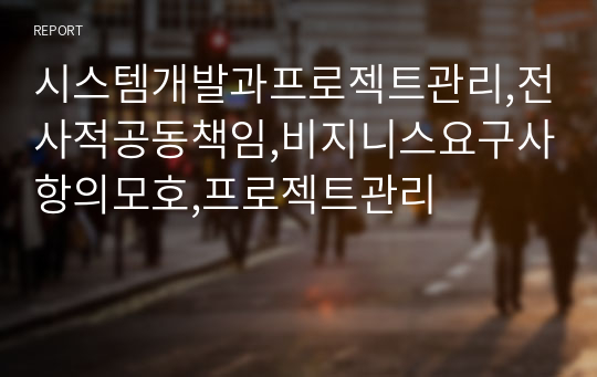 시스템개발과프로젝트관리,전사적공동책임,비지니스요구사항의모호,프로젝트관리