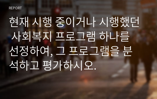 현재 시행 중이거나 시행했던 사회복지 프로그램 하나를 선정하여, 그 프로그램을 분석하고 평가하시오.