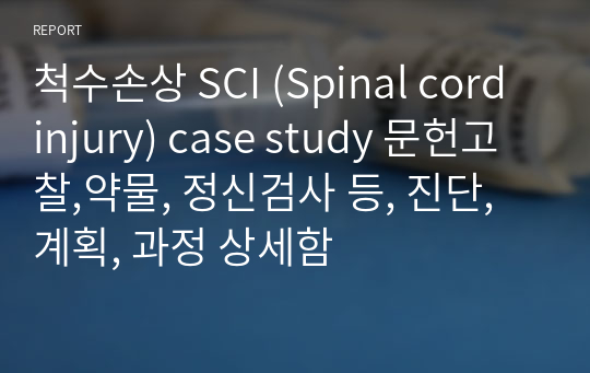 척수손상 SCI (Spinal cord injury) case study 문헌고찰,약물, 정신검사 등, 진단, 계획, 과정 상세함