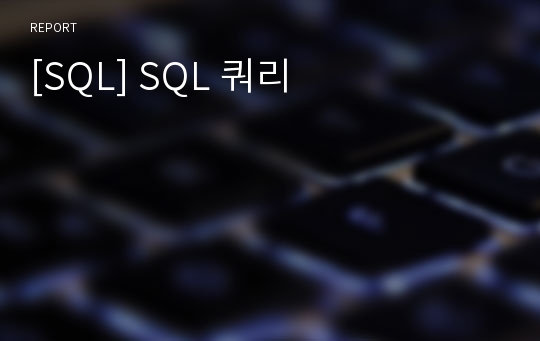 [SQL] SQL 쿼리