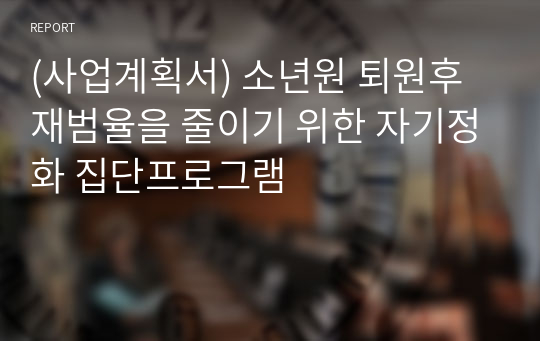 (사업계획서) 소년원 퇴원후 재범율을 줄이기 위한 자기정화 집단프로그램