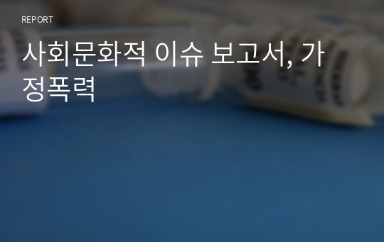 사회문화적 이슈 보고서, 가정폭력