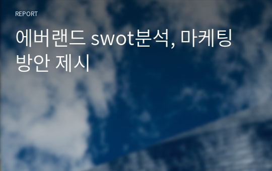 에버랜드 swot분석, 마케팅 방안 제시