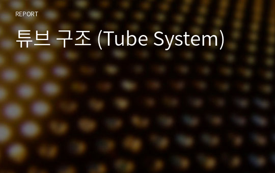 튜브 구조 (Tube System)