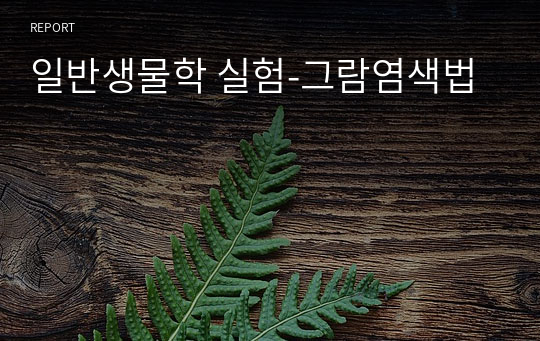 일반생물학 실험-그람염색법