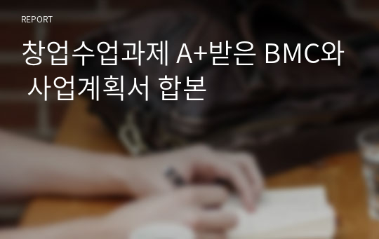 창업수업과제 A+받은 BMC와 사업계획서 합본