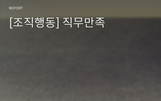 [조직행동] 직무만족