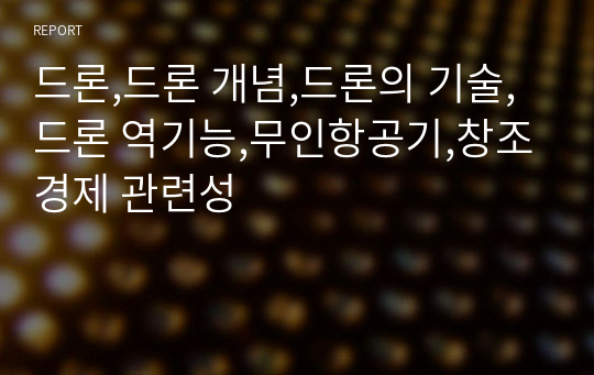 드론,드론 개념,드론의 기술,드론 역기능,무인항공기,창조경제 관련성