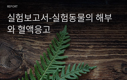 실험보고서-실험동물의 해부와 혈액응고