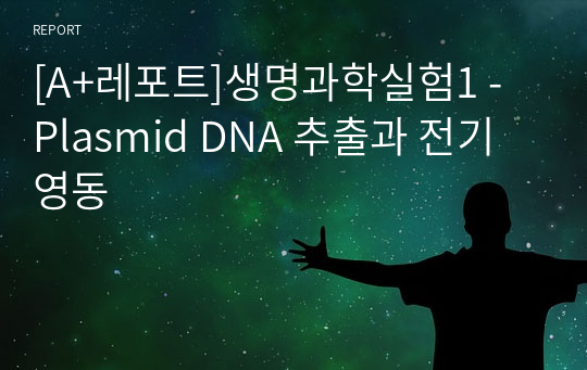 [A+레포트]생명과학실험1 - Plasmid DNA 추출과 전기영동