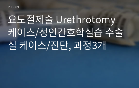요도절제술 Urethrotomy 케이스/성인간호학실습 수술실 케이스/진단, 과정3개