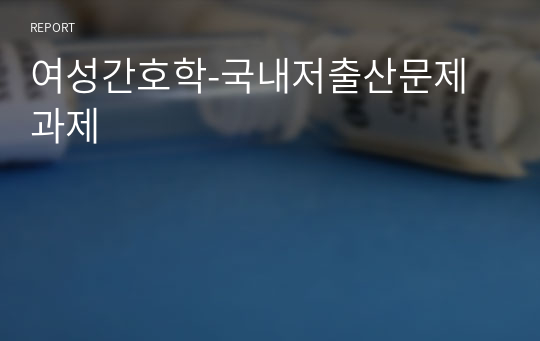 여성간호학-국내저출산문제 과제