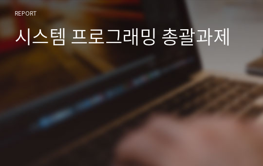 시스템 프로그래밍 총괄과제