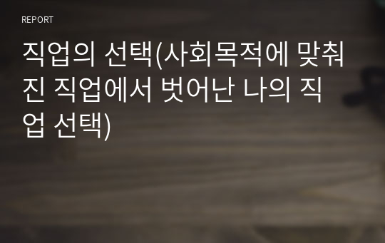 직업의 선택(사회목적에 맞춰진 직업에서 벗어난 나의 직업 선택)