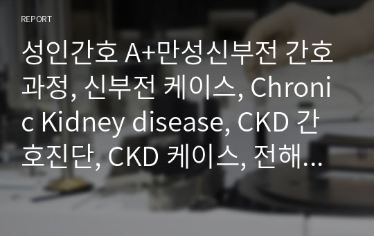성인간호 A+만성신부전 간호과정, 신부전 케이스, Chronic Kidney disease, CKD 간호진단, CKD 케이스, 전해질 불균형 위험, 낙상 위험성, 감염 위험성