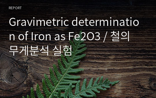 Gravimetric determination of Iron as Fe2O3 / 철의 무게분석 실험