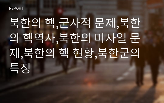 북한의 핵,군사적 문제,북한의 핵역사,북한의 미사일 문제,북한의 핵 현황,북한군의 특징