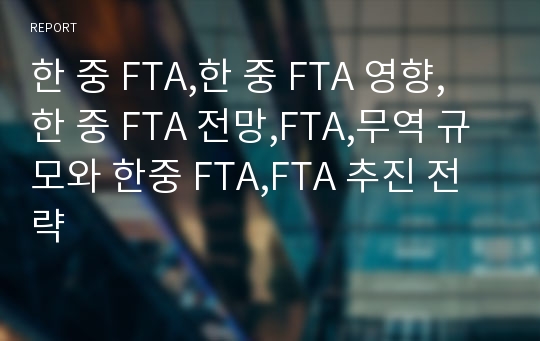 한 중 FTA,한 중 FTA 영향,한 중 FTA 전망,FTA,무역 규모와 한중 FTA,FTA 추진 전략