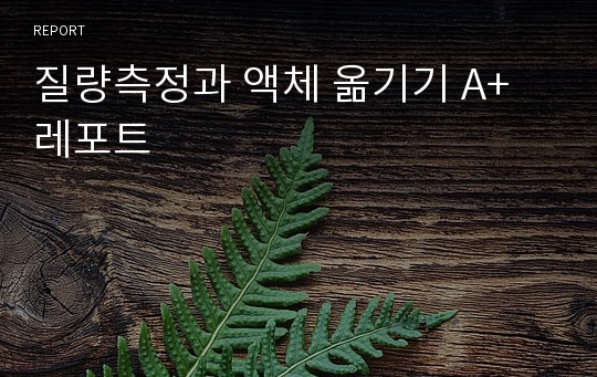 질량측정과 액체 옮기기 A+레포트