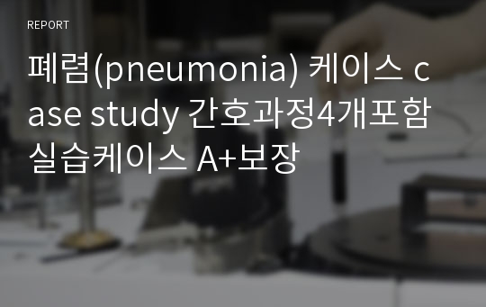 폐렴(pneumonia) 케이스 case study 간호과정4개포함 실습케이스 A+보장