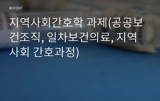 지역사회간호학 과제(공공보건조직, 일차보건의료, 지역사회 간호과정)