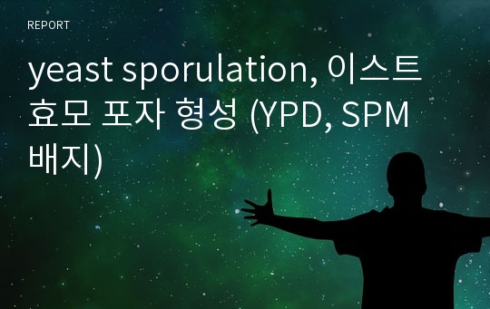 yeast sporulation, 이스트 효모 포자 형성 (YPD, SPM 배지)