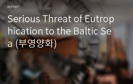 Serious Threat of Eutrophication to the Baltic Sea (부영양화)