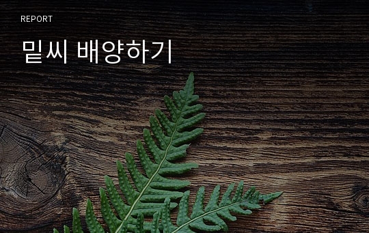 밑씨 배양하기