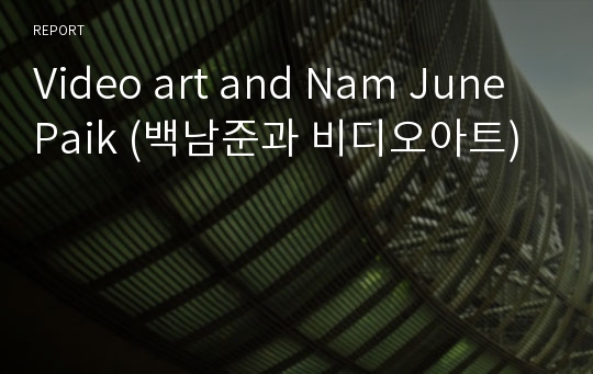 Video art and Nam June Paik (백남준과 비디오아트)