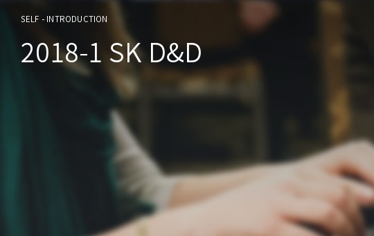 2018-1 SK D&amp;D